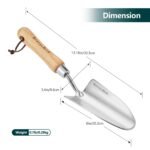 Stainless Steel Trowel: Premium Wood Handle - Image 3